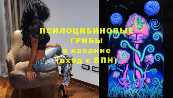 PSILOCYBIN Гусиноозёрск