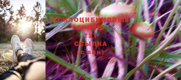 СК Няндома