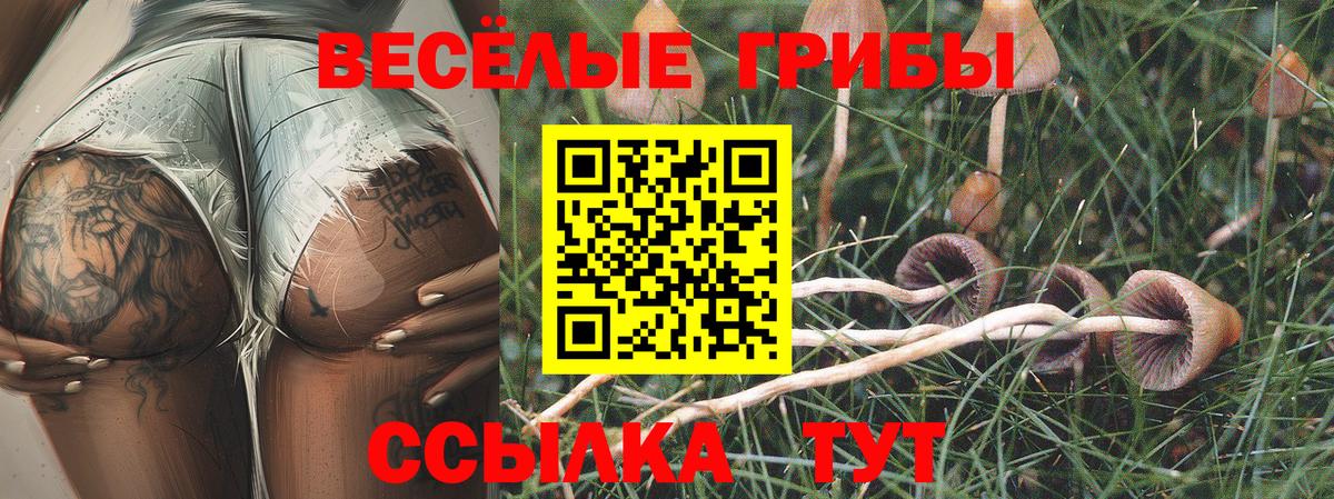 Заводоуковск  Псилоцибиновые грибы прущие грибы  Вход с VPN 